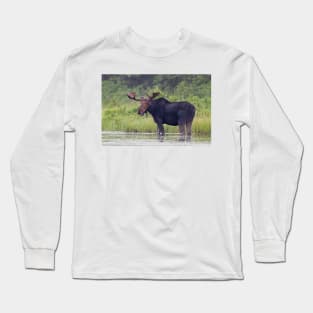 Bull Moose, Algonquin Park, Canada Long Sleeve T-Shirt